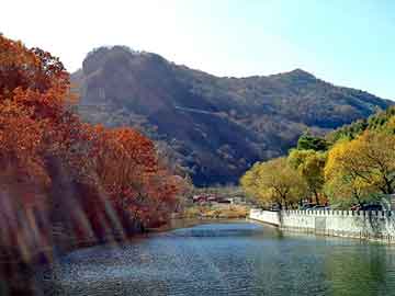 新澳天天开奖资料大全旅游团，我与拉拉